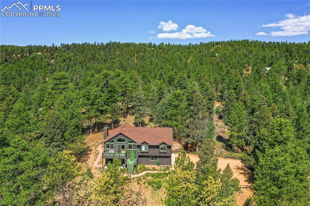 Woodland Park, CO 80863,4041 Trout Creek RD