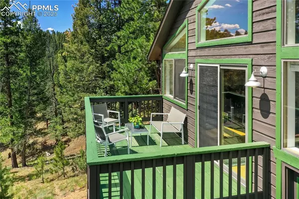 Woodland Park, CO 80863,4041 Trout Creek RD