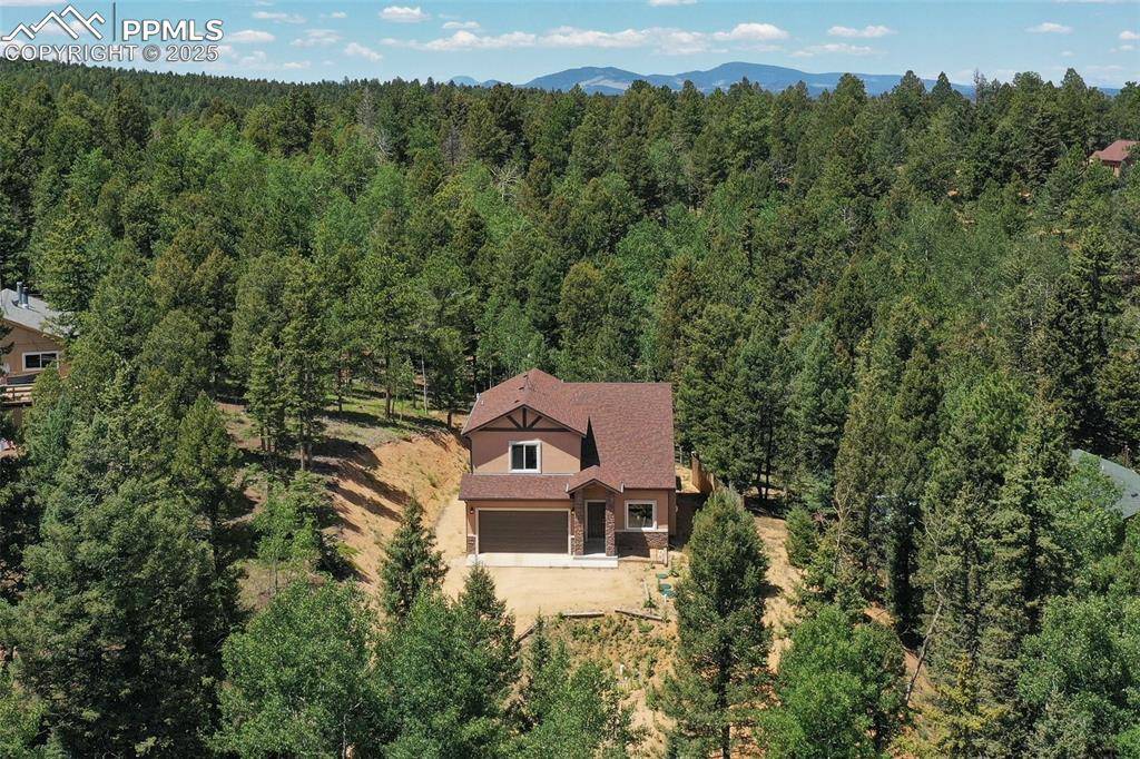 Florissant, CO 80816,71 Mt Elbert DR