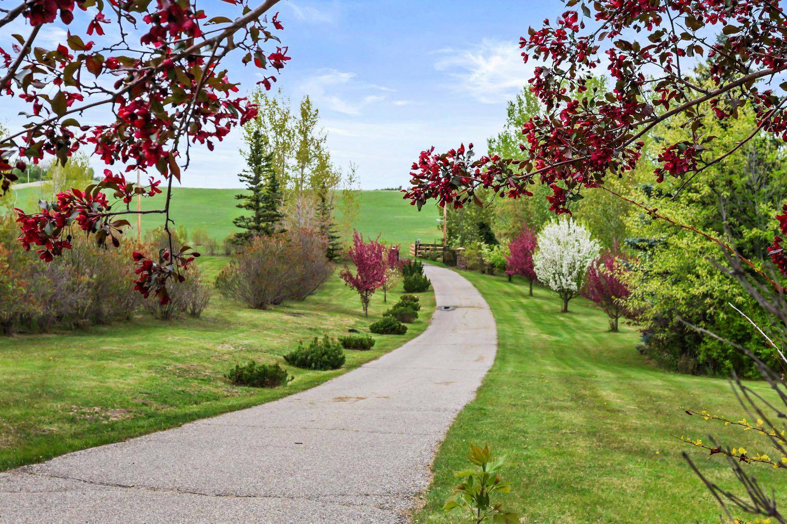 Rural Foothills County, AB T1S 3L8,243121 16 ST East #200