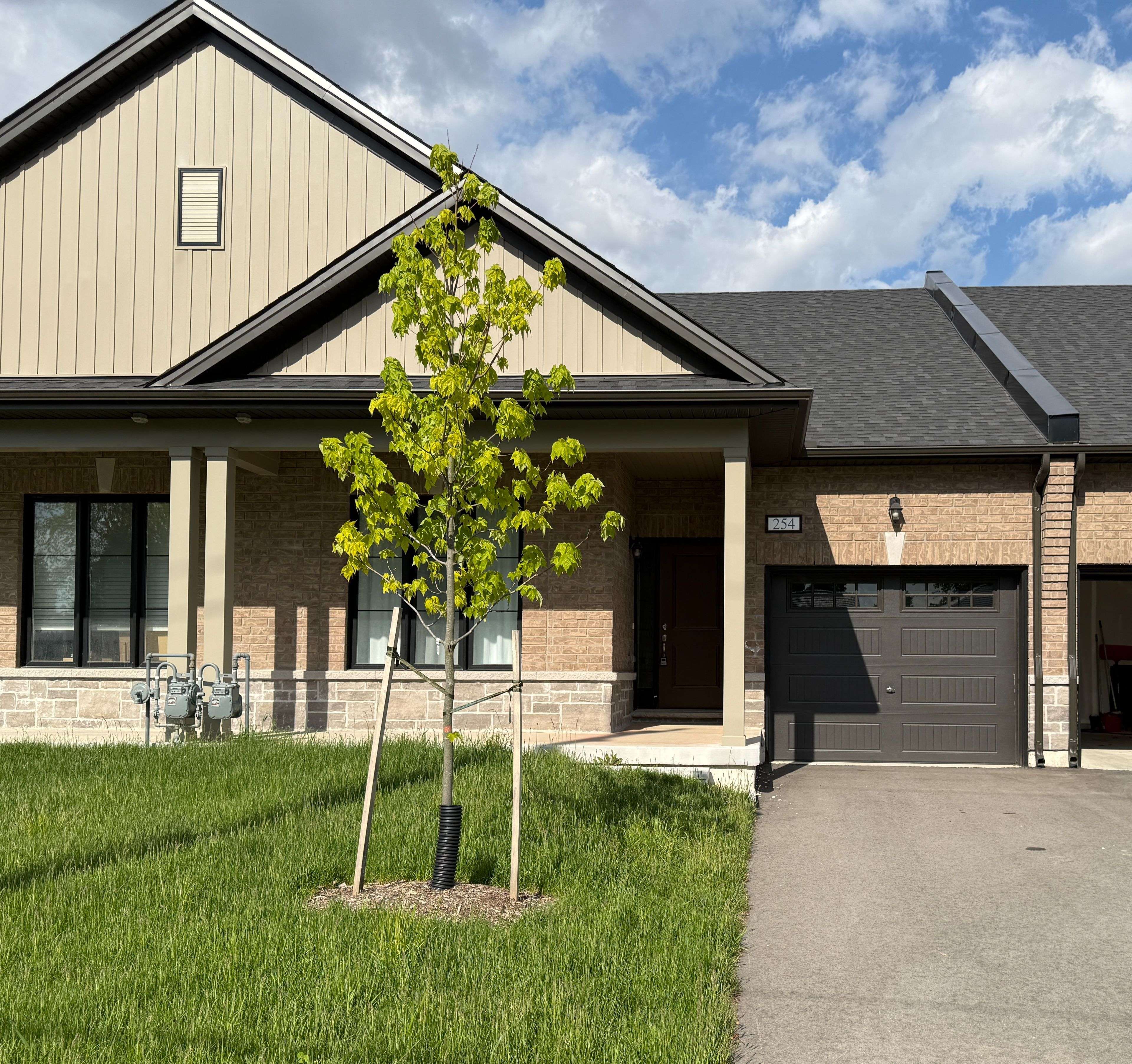 254 Middleton ST, Zorra, ON N0M 2M0