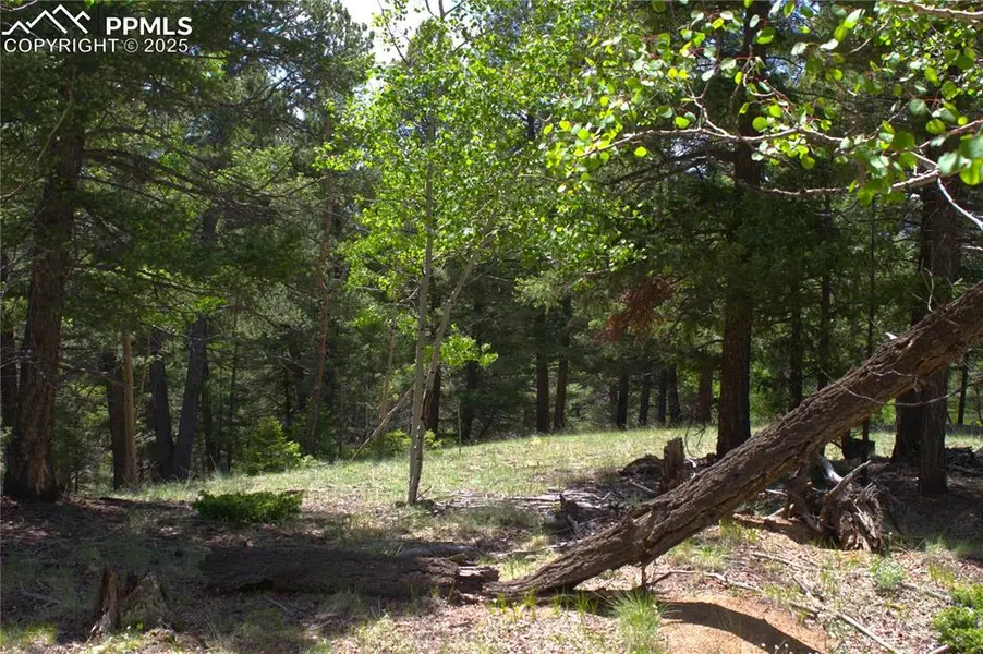 185 Cherry Lake DR, Divide, CO 80814