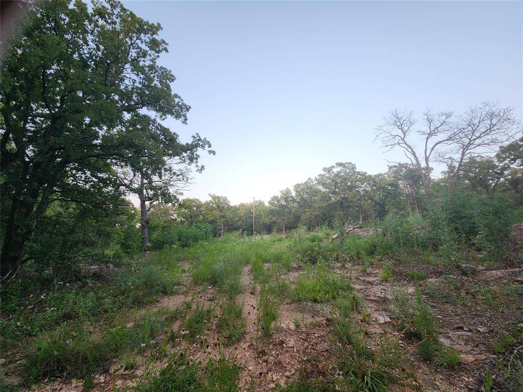 Chico, TX 76431,491 County Road 1770