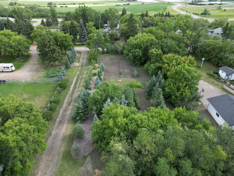 14 Alberta AVE, Erskine, AB T0C 1G0