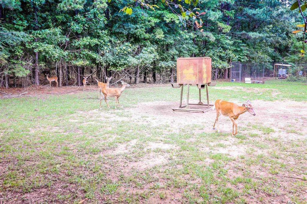 Marshall, TX 75672,2188 HARKINS Lane