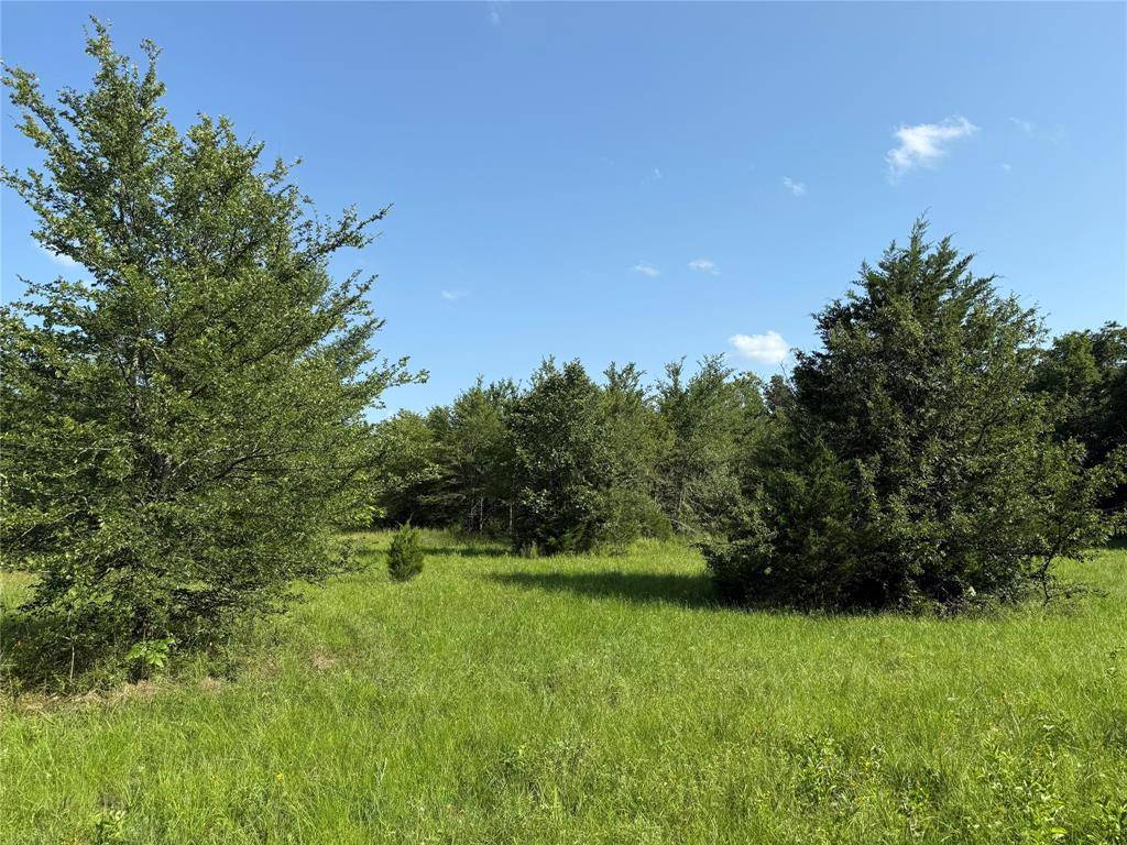Kerens, TX 75144,Lot 3 SE CR 4045
