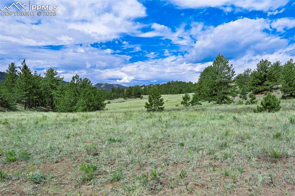 Guffey, CO 80820,Tract 8 County Road 102