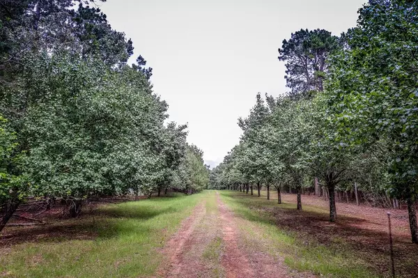 Marshall, TX 75672,2188 HARKINS Lane