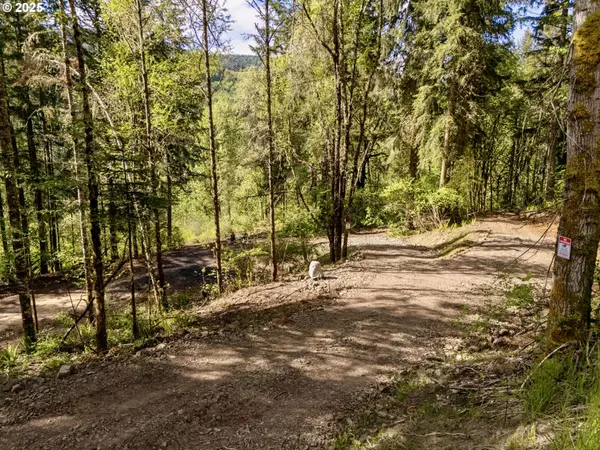 Kalama, WA 98625,00 Spreadborough RD