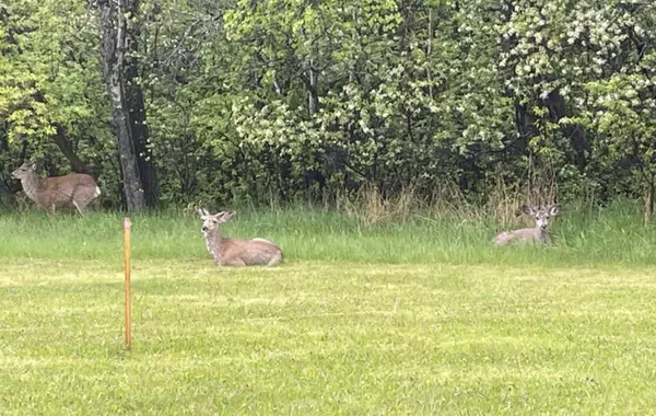 Rural Red Deer County, AB T4E 1A2,38349 Range Rd 270 #Lot 26