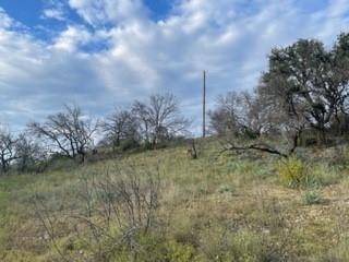 Brownwood, TX 76801,TBD Newcastle Drive