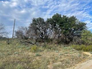 Brownwood, TX 76801,TBD Newcastle Drive