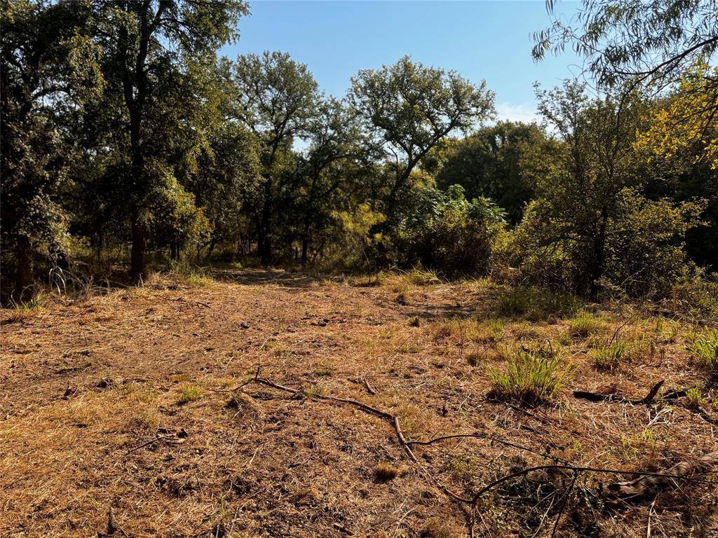 May, TX 76857,Lot 21 Lagoon