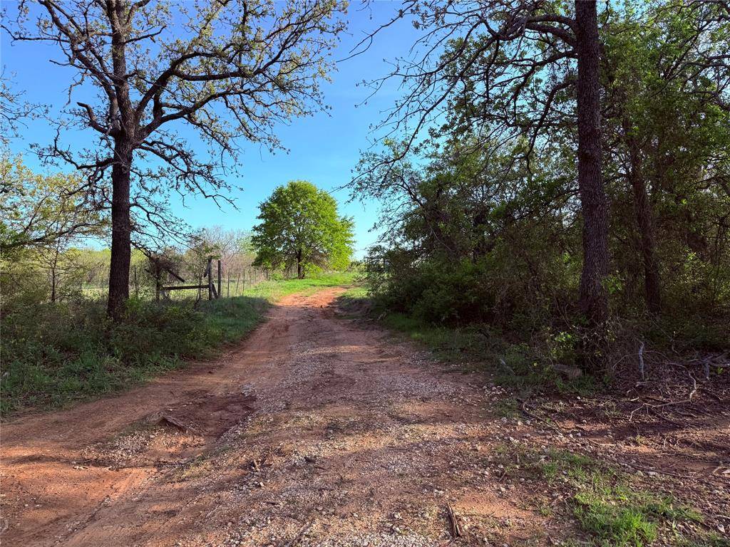 Nocona, TX 76255,TBD Brown Road