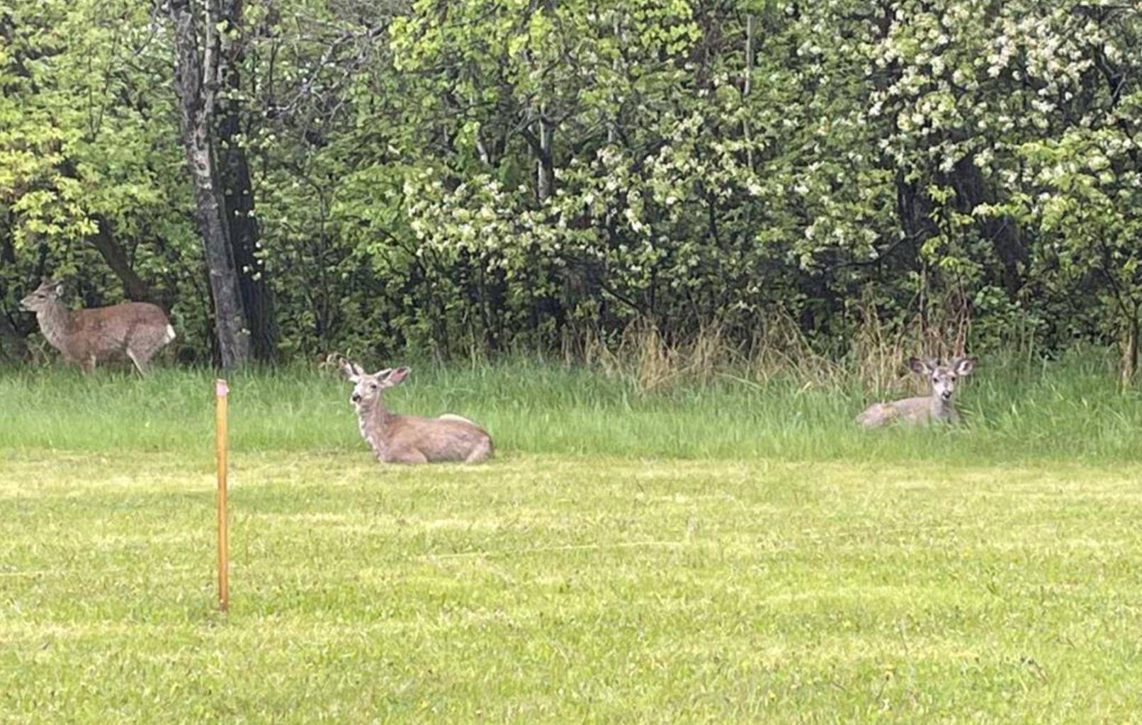 Rural Red Deer County, AB T4E 1A2,38349 Range Rd 270 #Lot 27