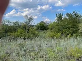 Brownwood, TX 76801,7136 Cork Drive