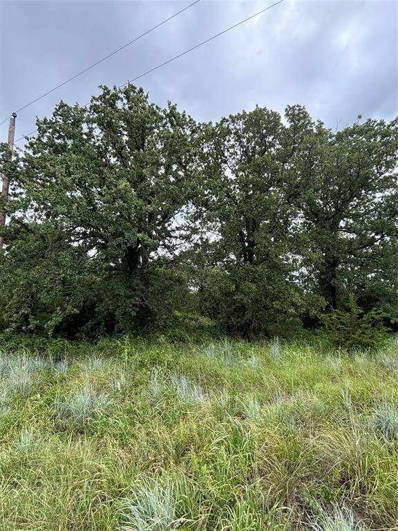 Poolville, TX 76487,0000 Sweetwater Springs
