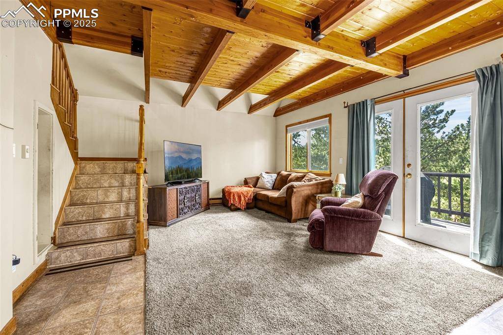 Divide, CO 80814,53 Lake CIR