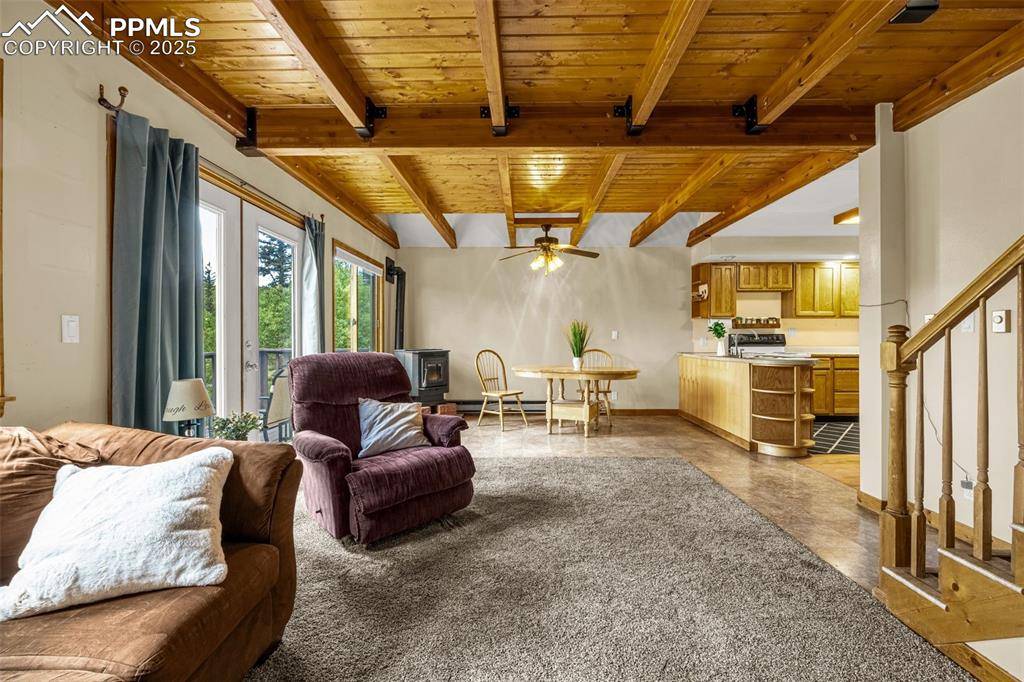 Divide, CO 80814,53 Lake CIR