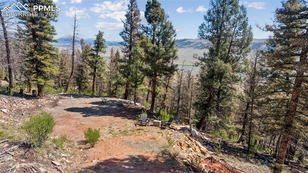 Fairplay, CO 80440,1050 Middle Fork VIS