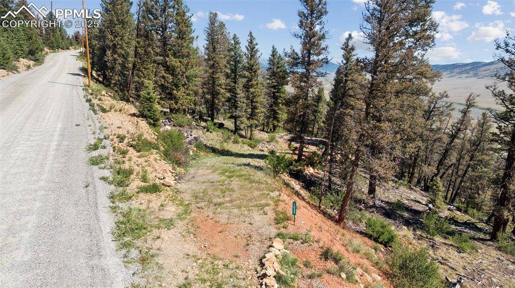 Fairplay, CO 80440,1050 Middle Fork VIS