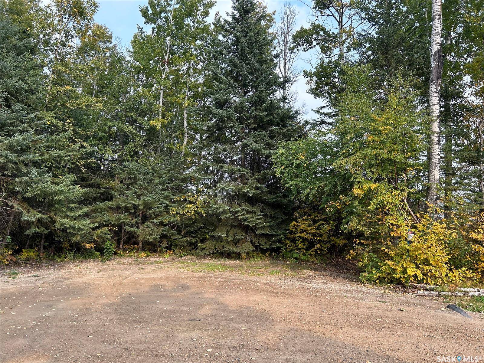 Paddockwood Rm No. 520, SK S0J 0N0,701 Michael John PLACE