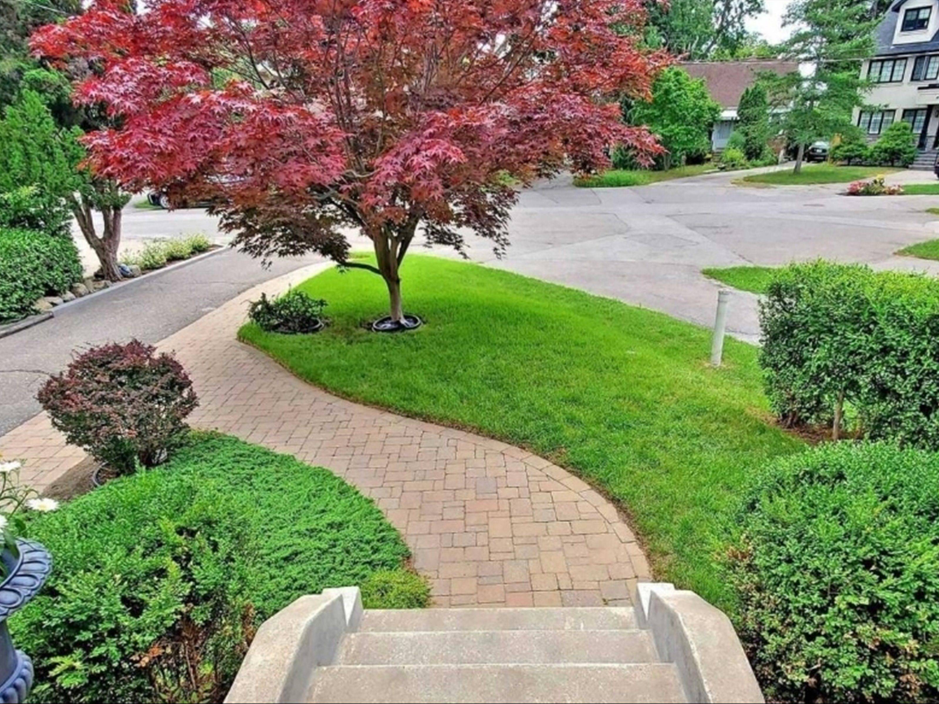 Toronto W07, ON M8Y 1R6,14 Park LN