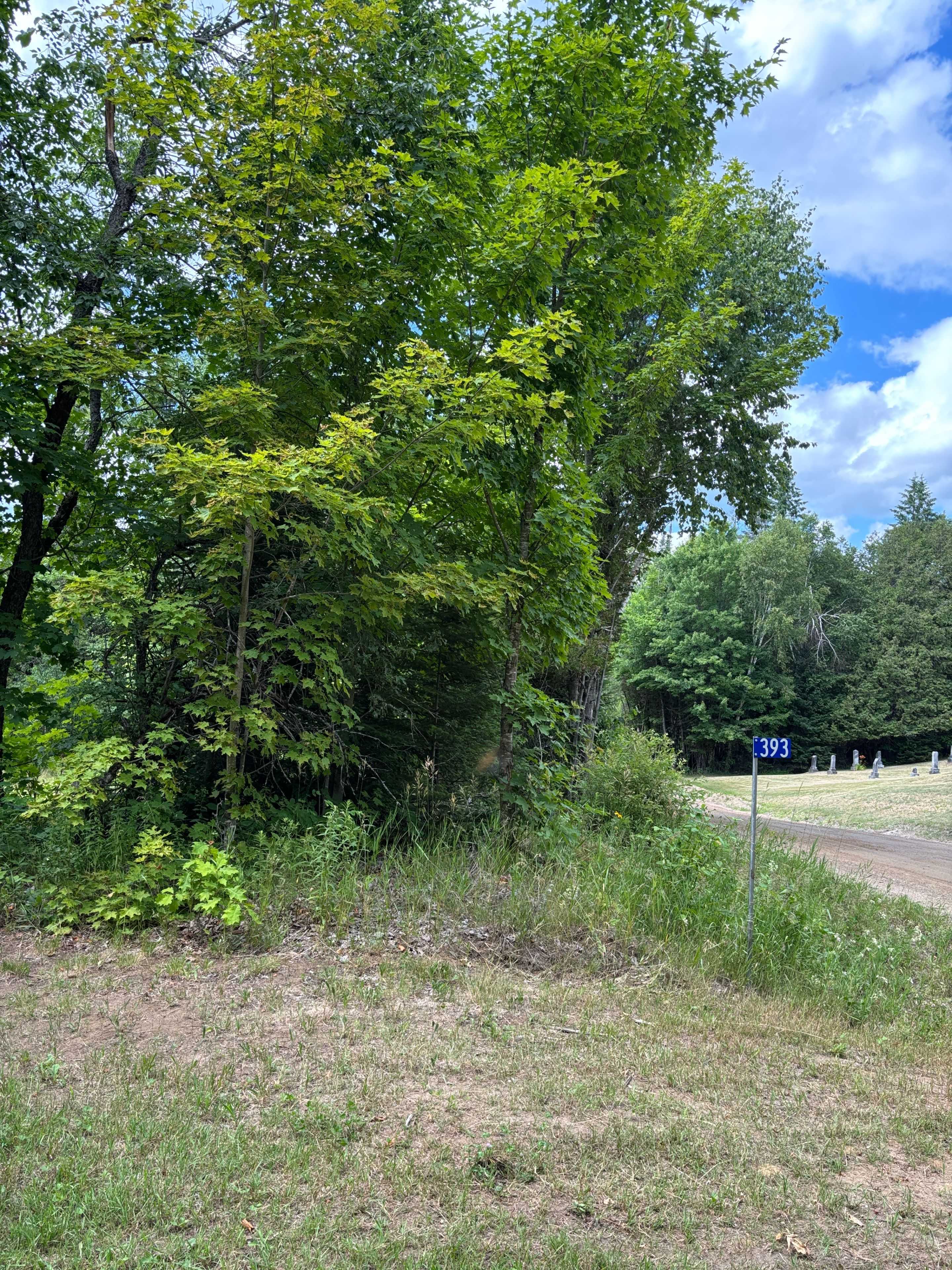 393 Rose Island RD, Wollaston, ON K0L 1P0