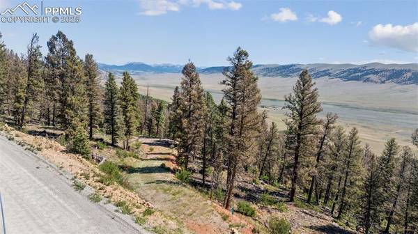 1050 Middle Fork VIS, Fairplay, CO 80440