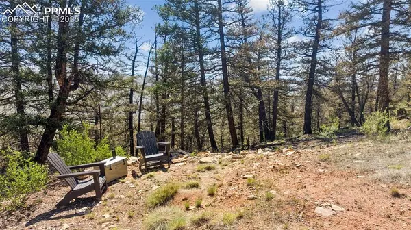 Fairplay, CO 80440,1050 Middle Fork VIS