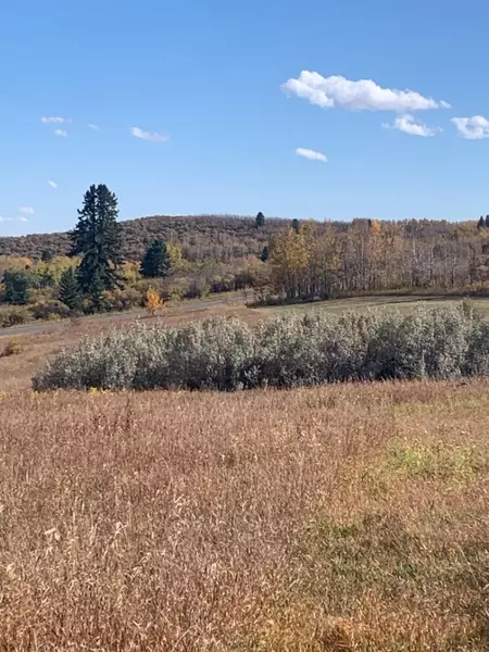 16 Red Willow CT West, Rural Foothills County, AB T2X 0X0