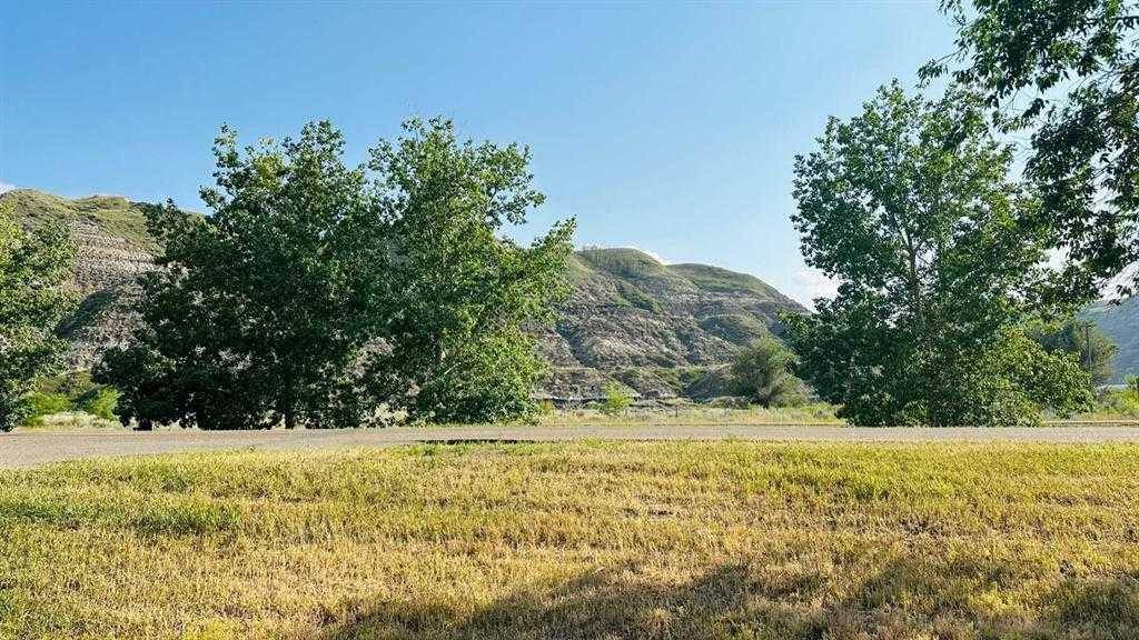 Drumheller, AB T0J 0Y0,103 3 Street