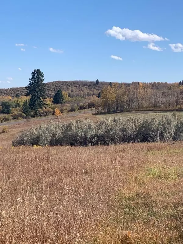 16 Red Willow CT W, Rural Foothills County, AB T2X 0X0