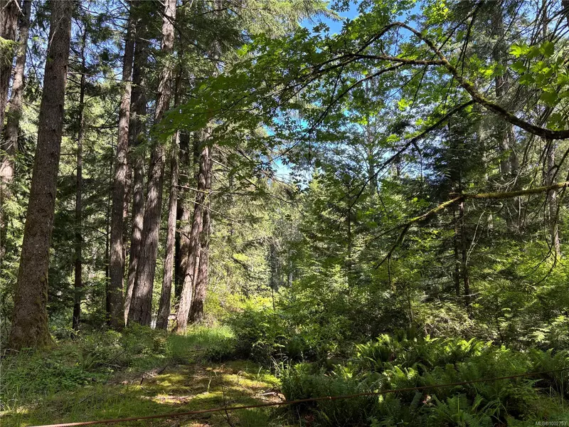 5596 Munn Rd, Highlands, BC V9E 1G7