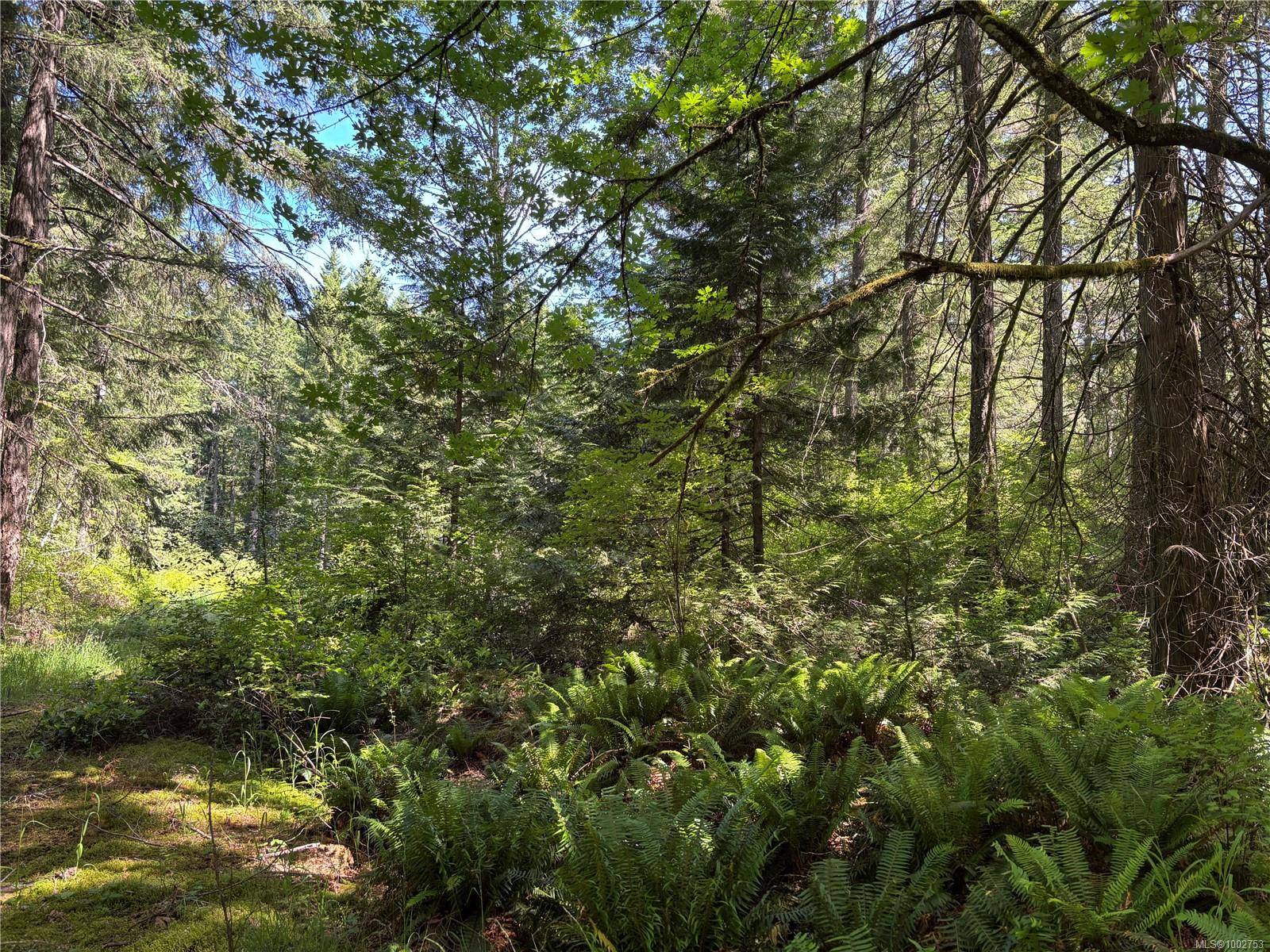 Highlands, BC V9E 1G7,5596 Munn Rd