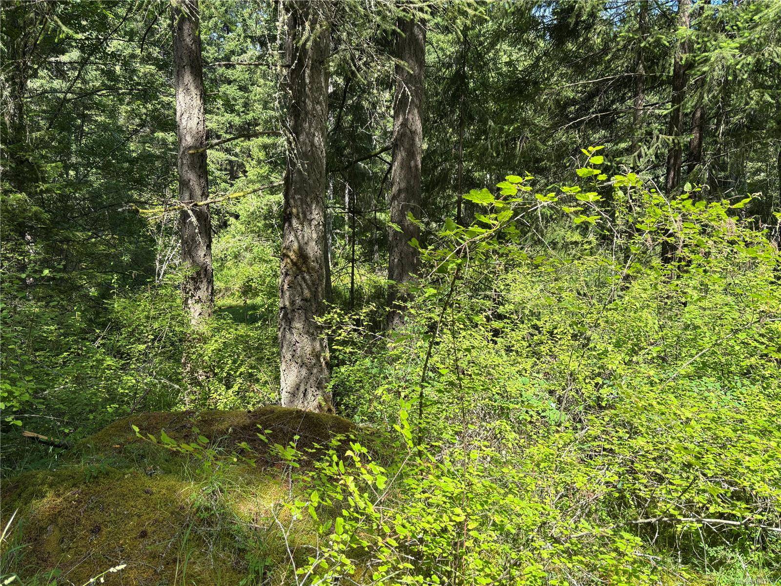Highlands, BC V9E 1G7,5596 Munn Rd