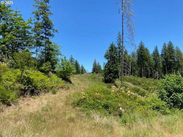 Sutherlin, OR 97479,15996 NONPAREIL RD