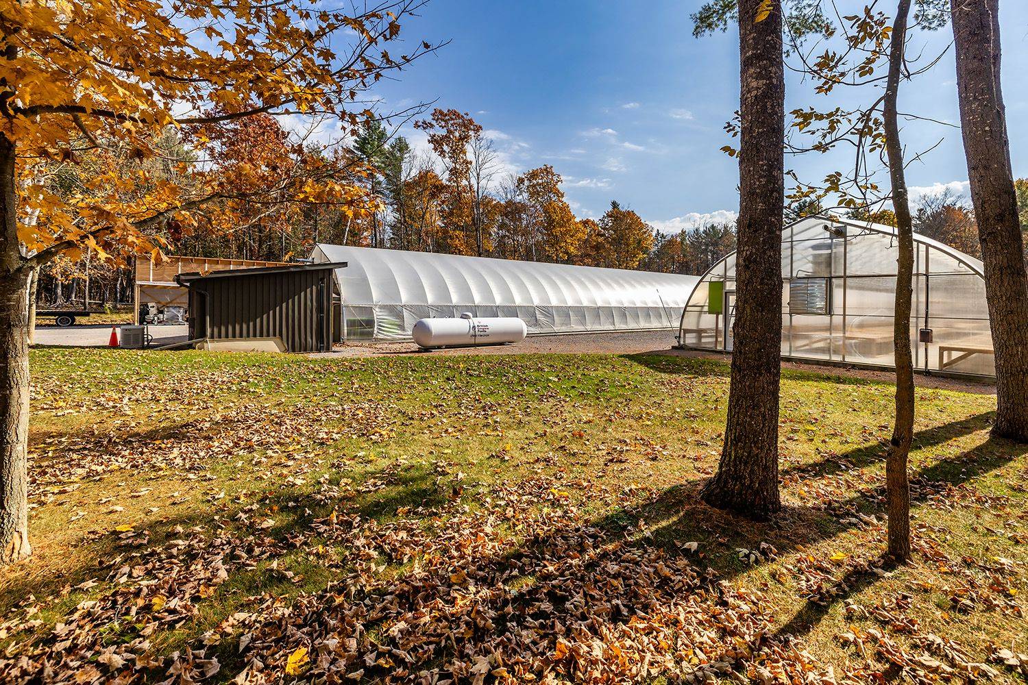 19 Ledge RD, Trent Lakes, ON K0M 1A0