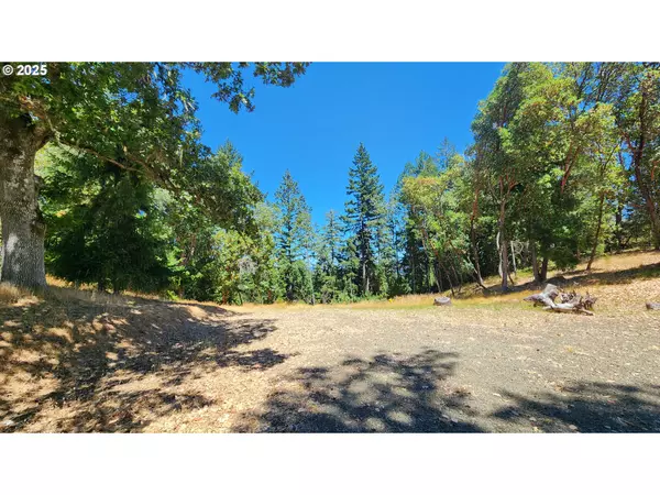 Roseburg, OR 97471,675 PANORAMA LN