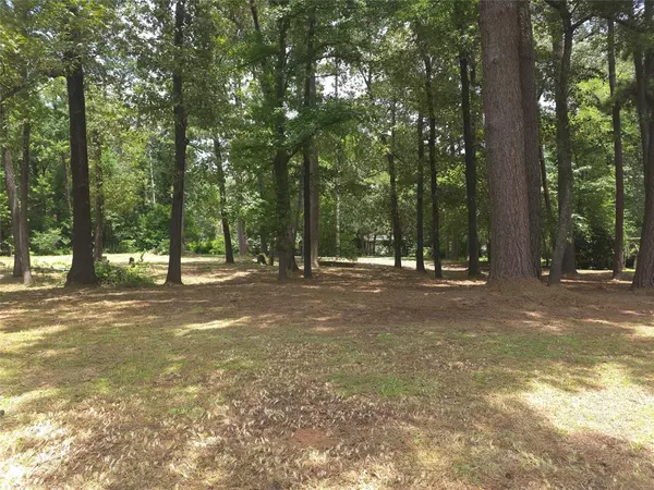 Daingerfield, TX 75638,208 Mountain View Drive