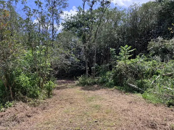 Keaau, HI 96749,15-1463 21ST AVE