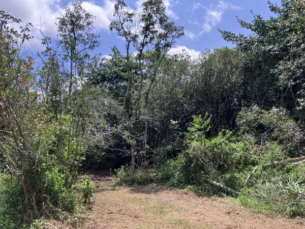 Keaau, HI 96749,15-1463 21ST AVE