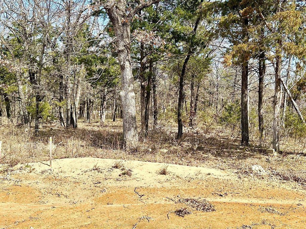 Gordonville, TX 76245,17A Castle Pines Circle