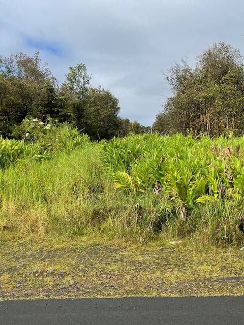 18-2017 PUA ST, Volcano, HI 96785