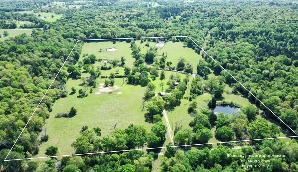 108 PR 378, Buffalo, TX 75831
