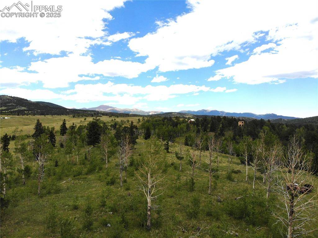 Victor, CO 80860,2947 County Road 86