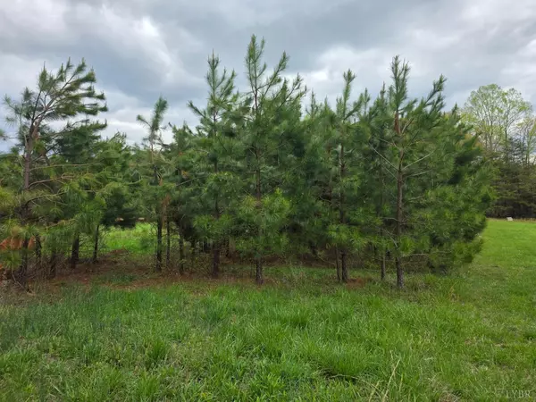 Spout Spring, VA 24593,0 Spring Grove RD