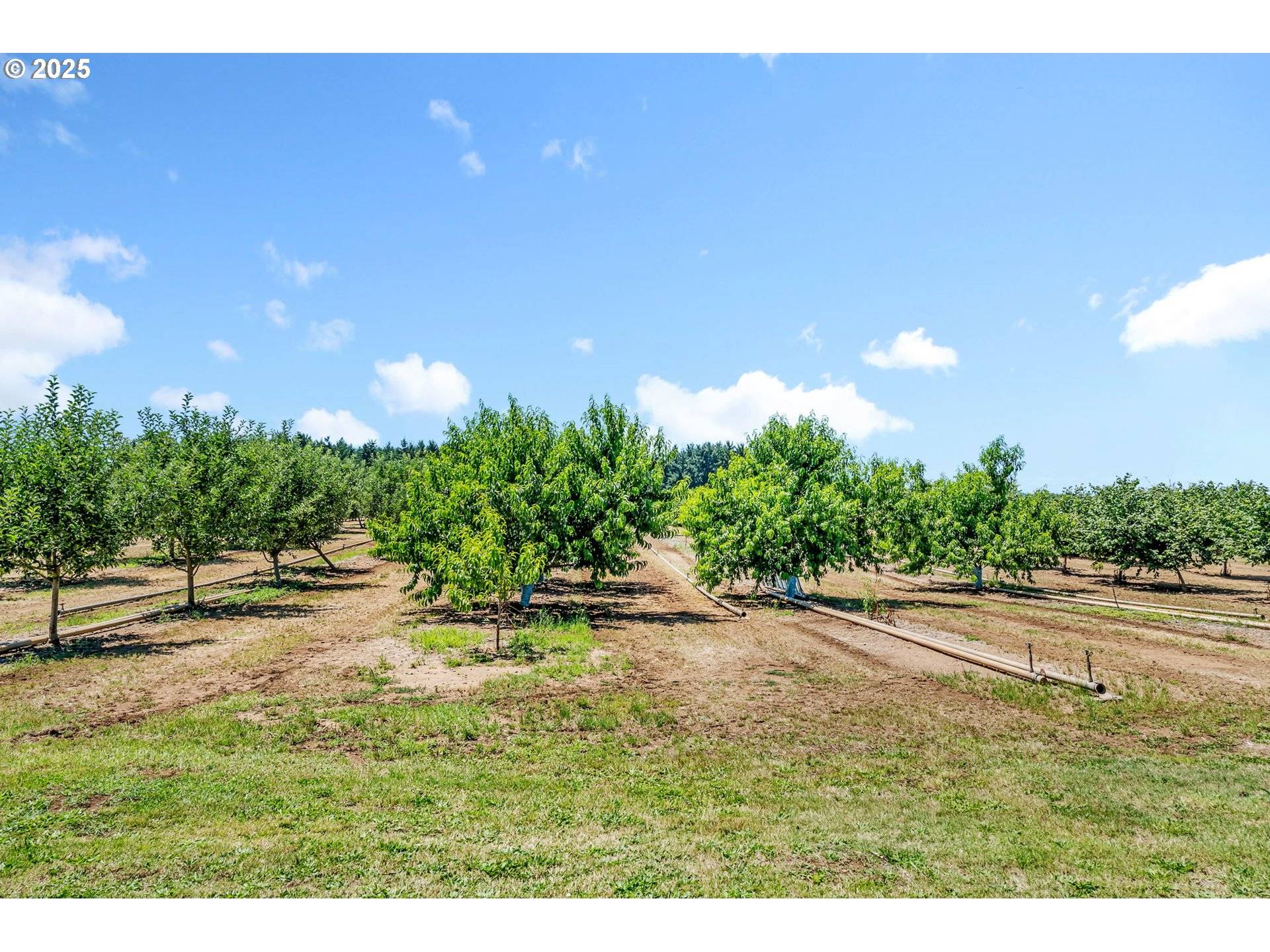 Creswell, OR 97426,River DR