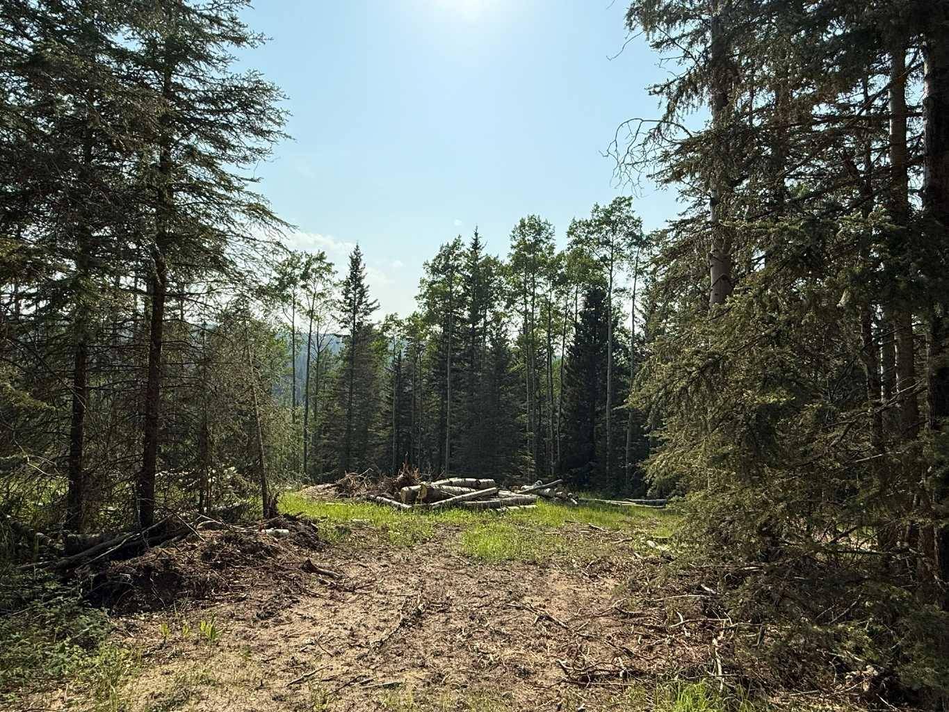 Rural Mountain View County, AB T0M 2E0,5413 Highway 579 #8