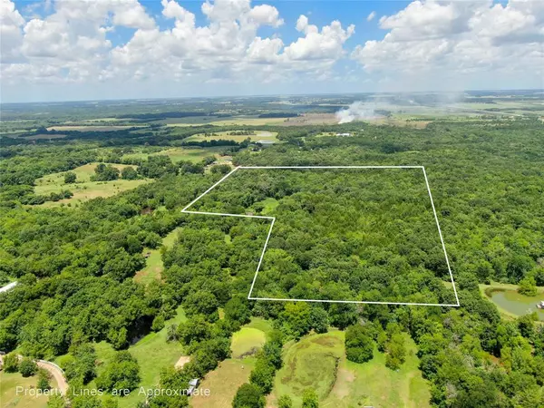 Ladonia, TX 75449,TBD Shelby Lane